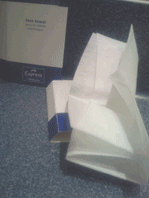 holiday inn towel Holiday Inn Express paper towel : (((